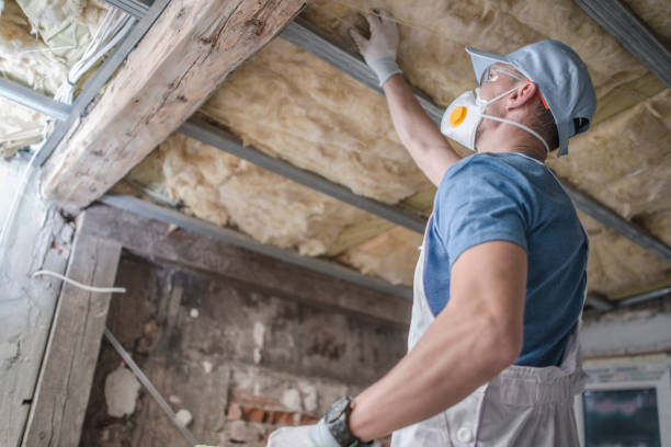 Best Crawl Space Insulation  in Ocilla, GA